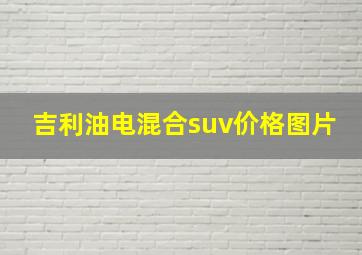 吉利油电混合suv价格图片