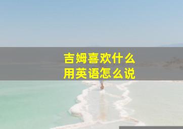 吉姆喜欢什么用英语怎么说