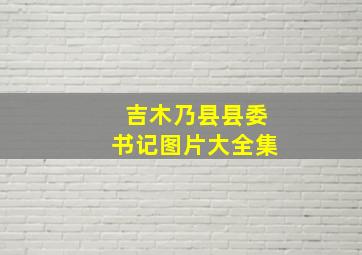 吉木乃县县委书记图片大全集