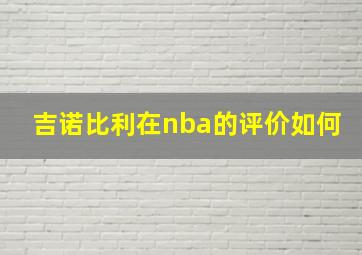 吉诺比利在nba的评价如何