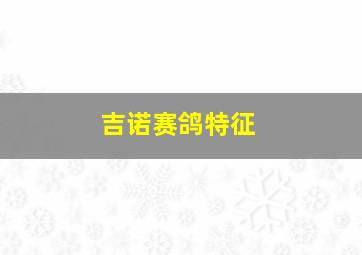 吉诺赛鸽特征