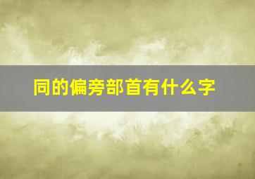 同的偏旁部首有什么字