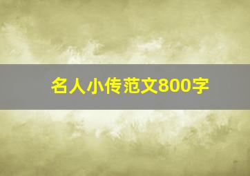 名人小传范文800字