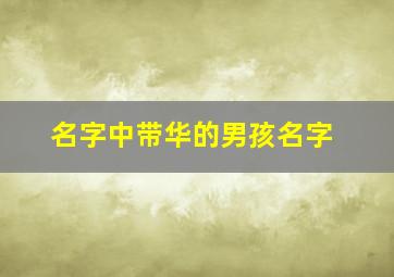 名字中带华的男孩名字