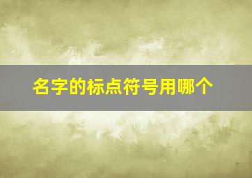 名字的标点符号用哪个