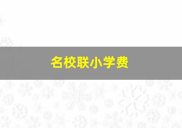 名校联小学费