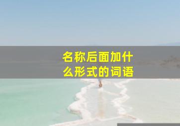 名称后面加什么形式的词语