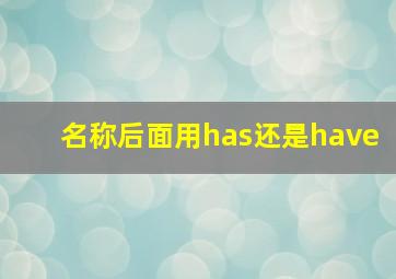 名称后面用has还是have