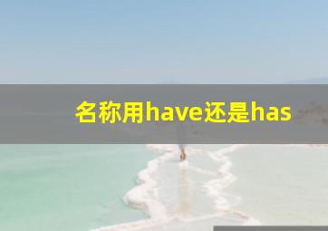 名称用have还是has