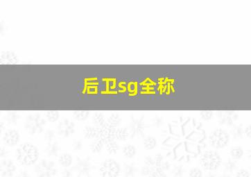 后卫sg全称