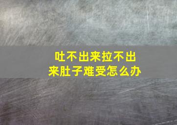 吐不出来拉不出来肚子难受怎么办