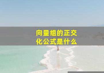 向量组的正交化公式是什么