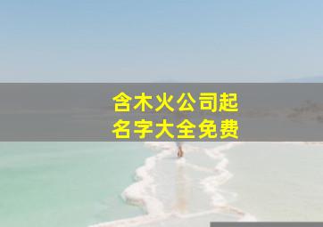 含木火公司起名字大全免费