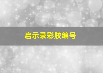 启示录彩胶编号