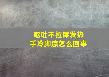 呕吐不拉屎发热手冷脚凉怎么回事