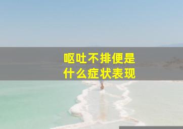 呕吐不排便是什么症状表现