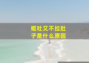 呕吐又不拉肚子是什么原因