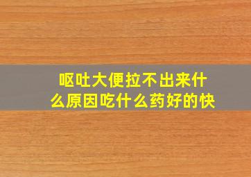 呕吐大便拉不出来什么原因吃什么药好的快