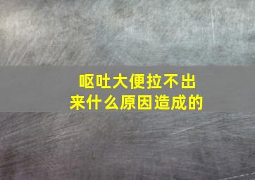 呕吐大便拉不出来什么原因造成的