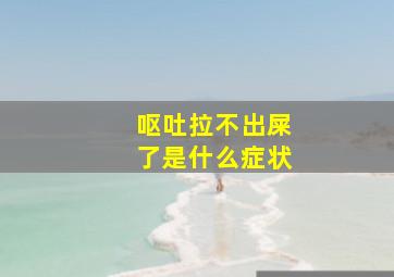 呕吐拉不出屎了是什么症状