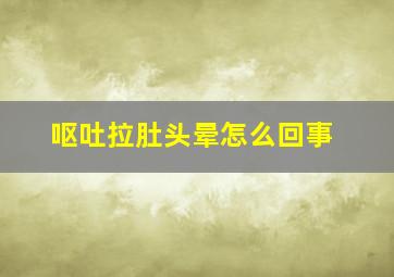 呕吐拉肚头晕怎么回事