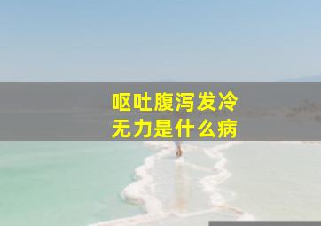 呕吐腹泻发冷无力是什么病