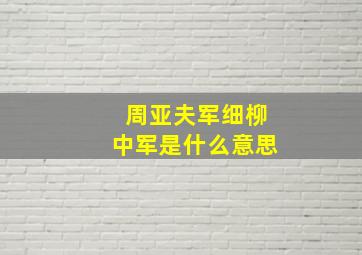 周亚夫军细柳中军是什么意思