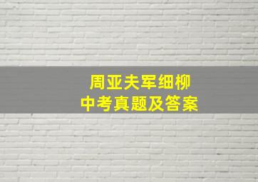 周亚夫军细柳中考真题及答案