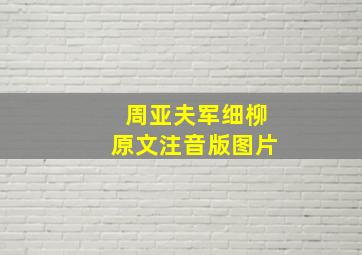 周亚夫军细柳原文注音版图片