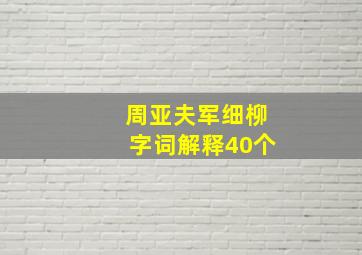 周亚夫军细柳字词解释40个