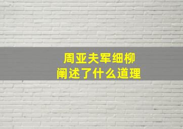 周亚夫军细柳阐述了什么道理