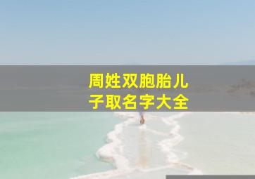 周姓双胞胎儿子取名字大全