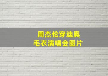 周杰伦穿迪奥毛衣演唱会图片