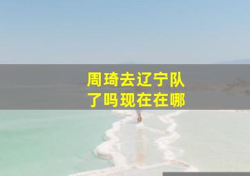 周琦去辽宁队了吗现在在哪