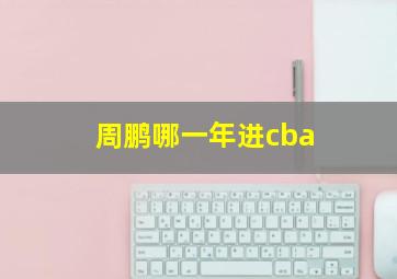 周鹏哪一年进cba