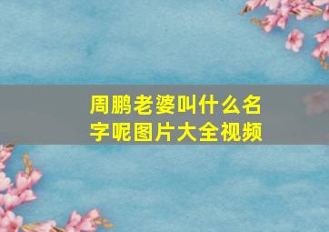 周鹏老婆叫什么名字呢图片大全视频