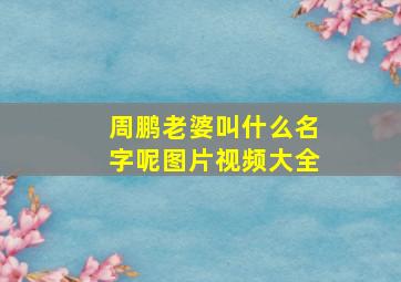 周鹏老婆叫什么名字呢图片视频大全