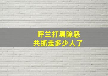 呼兰打黑除恶共抓走多少人了