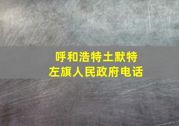 呼和浩特土默特左旗人民政府电话