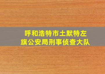 呼和浩特市土默特左旗公安局刑事侦查大队