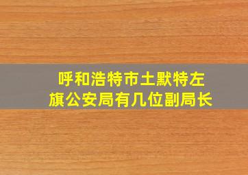 呼和浩特市土默特左旗公安局有几位副局长