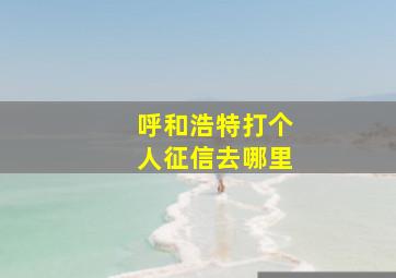 呼和浩特打个人征信去哪里