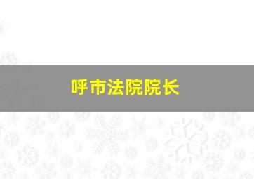 呼市法院院长