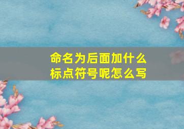 命名为后面加什么标点符号呢怎么写