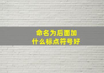 命名为后面加什么标点符号好