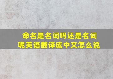 命名是名词吗还是名词呢英语翻译成中文怎么说