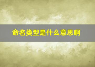 命名类型是什么意思啊