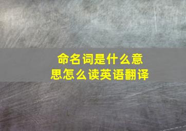 命名词是什么意思怎么读英语翻译