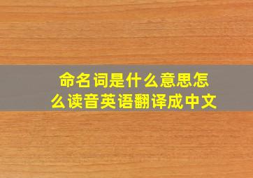 命名词是什么意思怎么读音英语翻译成中文