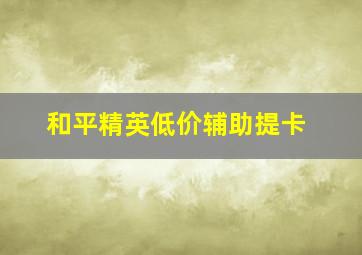 和平精英低价辅助提卡